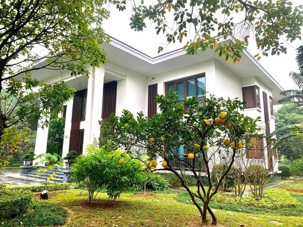 NCC Garden Villas - Khu biệt thự Trung tâm Hội nghị Quốc Gia Hanoï Extérieur photo