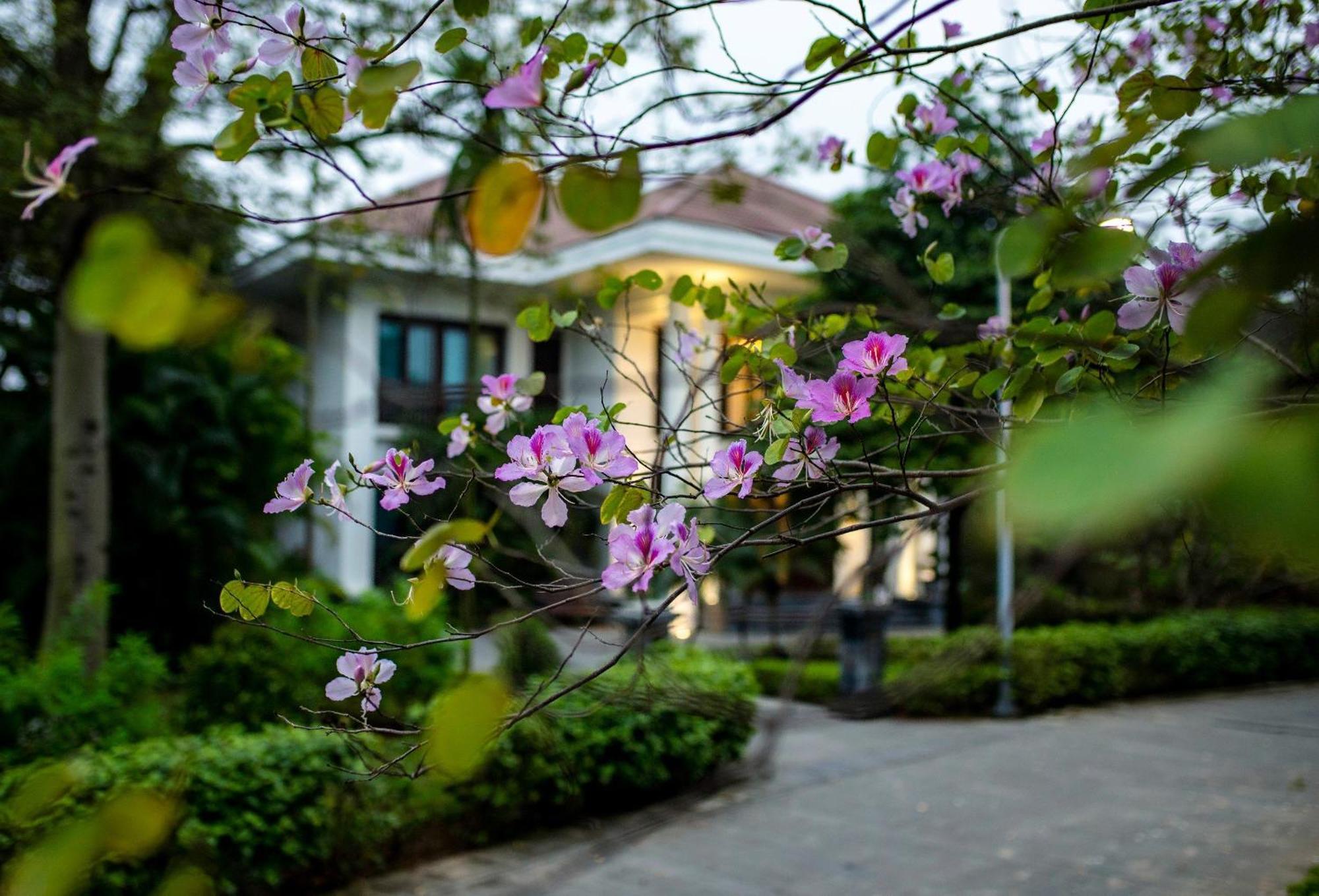 NCC Garden Villas - Khu biệt thự Trung tâm Hội nghị Quốc Gia Hanoï Extérieur photo